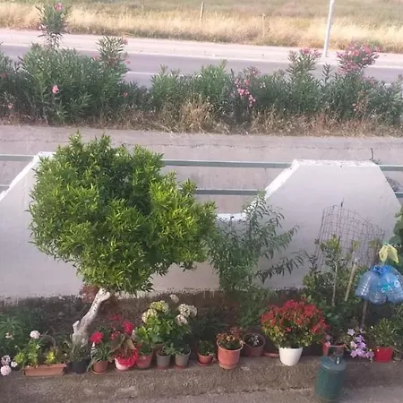 Ramar Golem (Tirana)